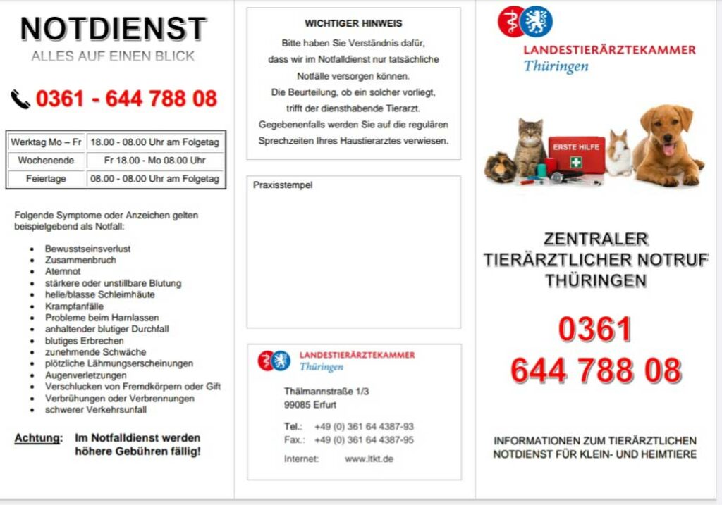 Notdienst Tierarzt In Der Nähe Jetzt Geöffnet